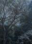 1402055-alb-66e87414cc680.jpg