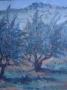 1839731-6ad24759d3930.jpg
