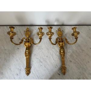 Paire d'Appliques au putto d'époque  Louis XVI