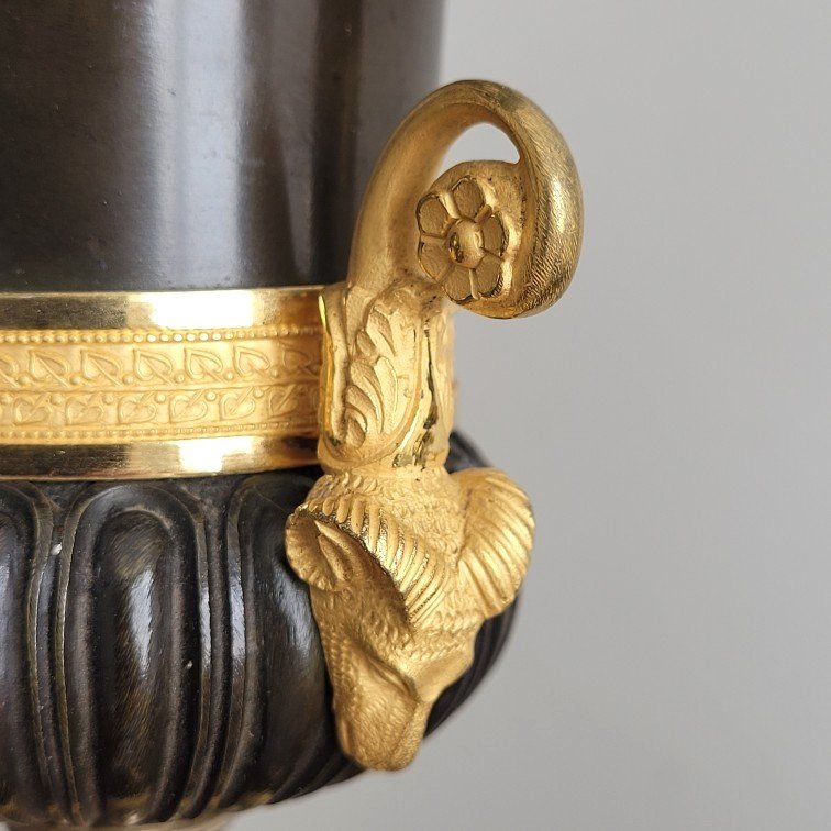 Pair Of Neoclassical Vases From The Restoration Period, Circa 1820.-photo-4
