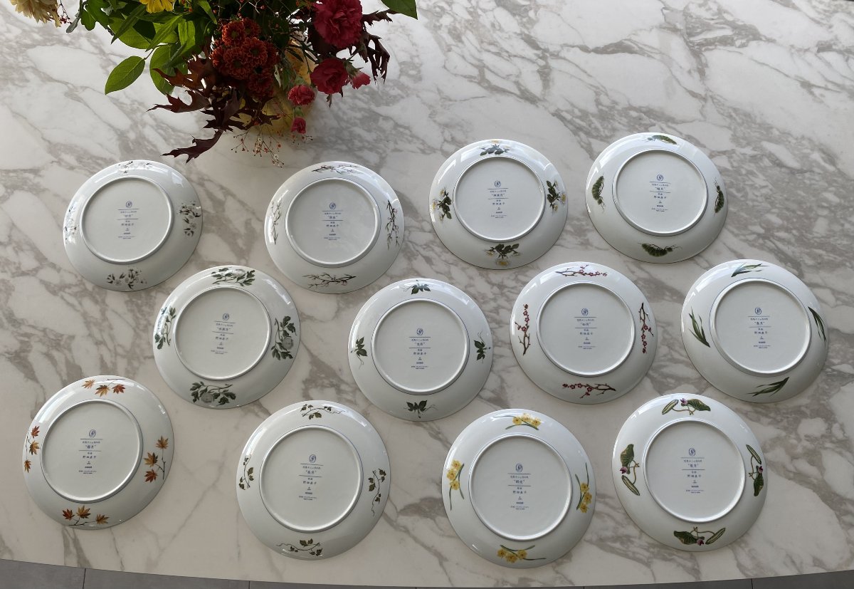 Twelve Porcelain Plates, "birds And Flowers Of The Far East," By Naoka Nobata-photo-6