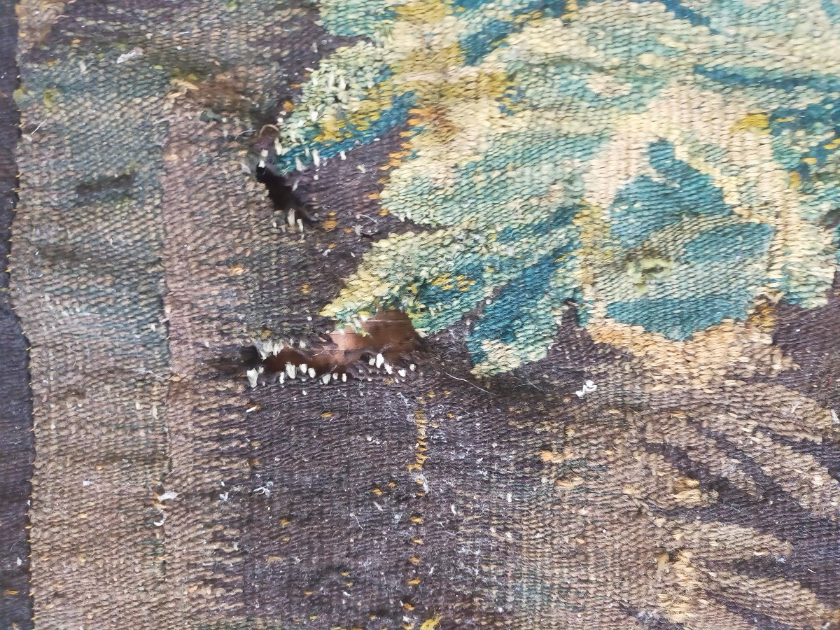 Aubusson Tapestry Early 18th Century-photo-5