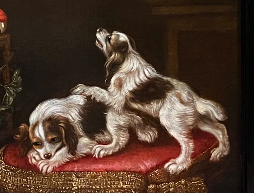  Epagneuls, Ara et fruits attr. à R. Levieux (Nîmes 1613 - Rome 1699). -photo-3