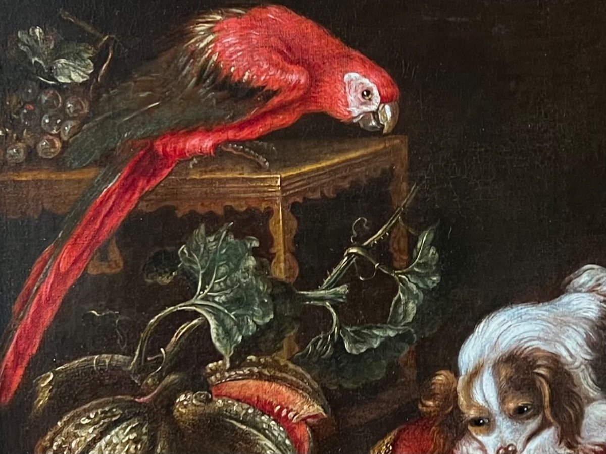 Painting With Toy Spaniels, R. Levieux, Macaw And Fruits (nîmes 1613 Rome 169-photo-2
