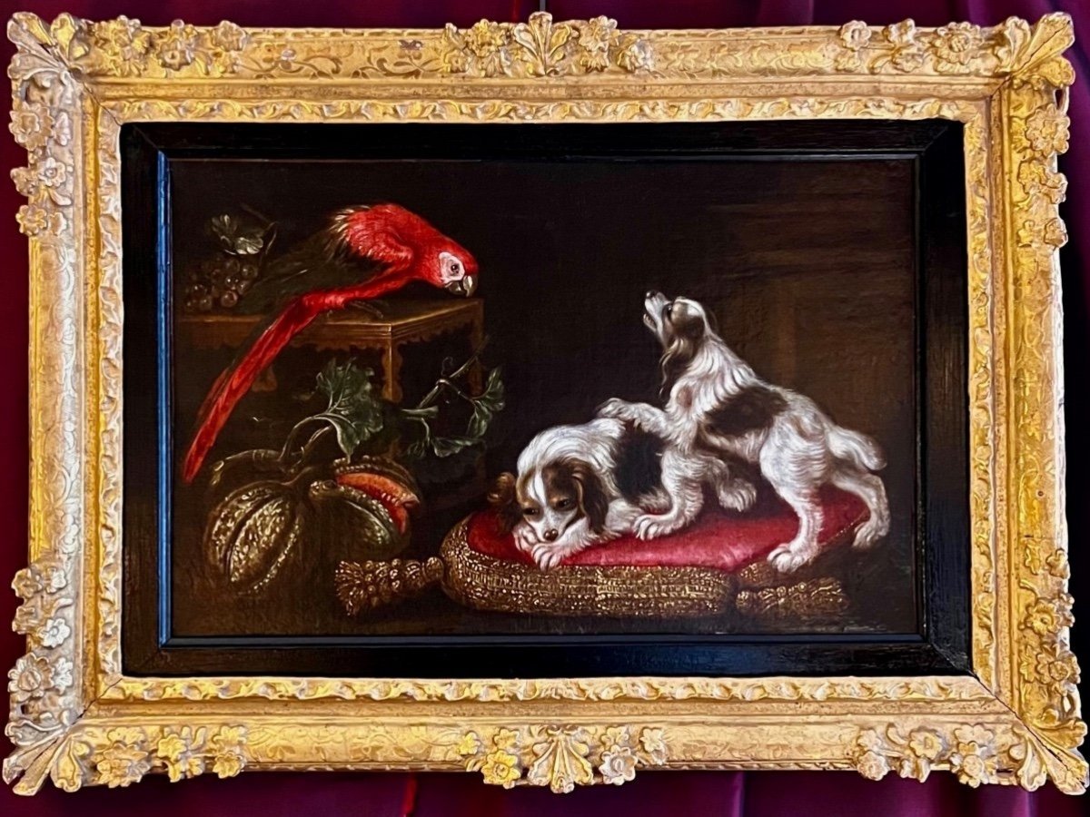 Painting With Toy Spaniels, R. Levieux, Macaw And Fruits (nîmes 1613 Rome 169-photo-5