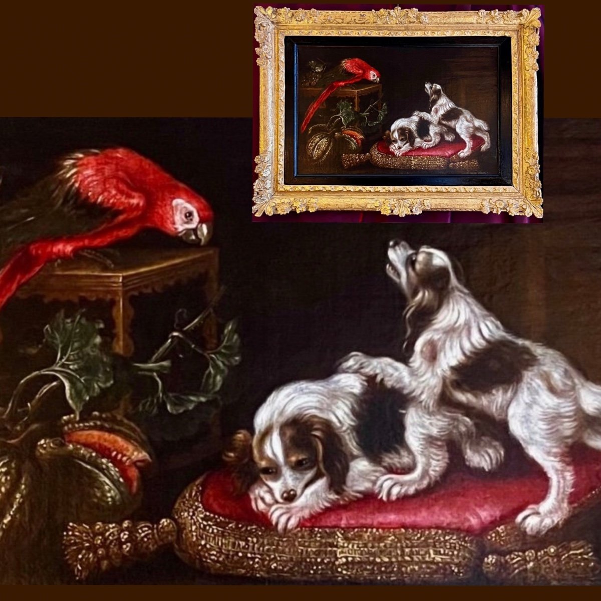 Painting With Toy Spaniels, R. Levieux, Macaw And Fruits (nîmes 1613 Rome 169