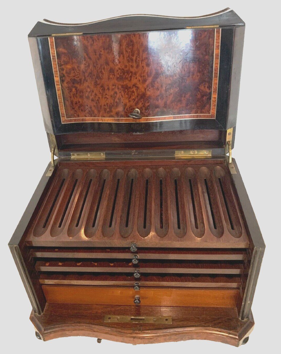 Cigar Box In Thuja Burl And Black Wood 19th Century-photo-2