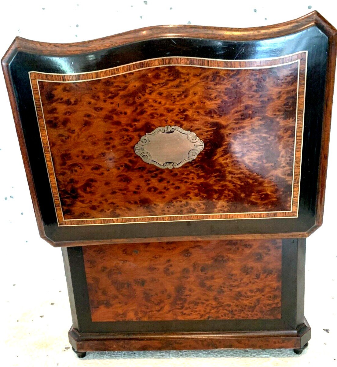 Cigar Box In Thuja Burl And Black Wood 19th Century-photo-4