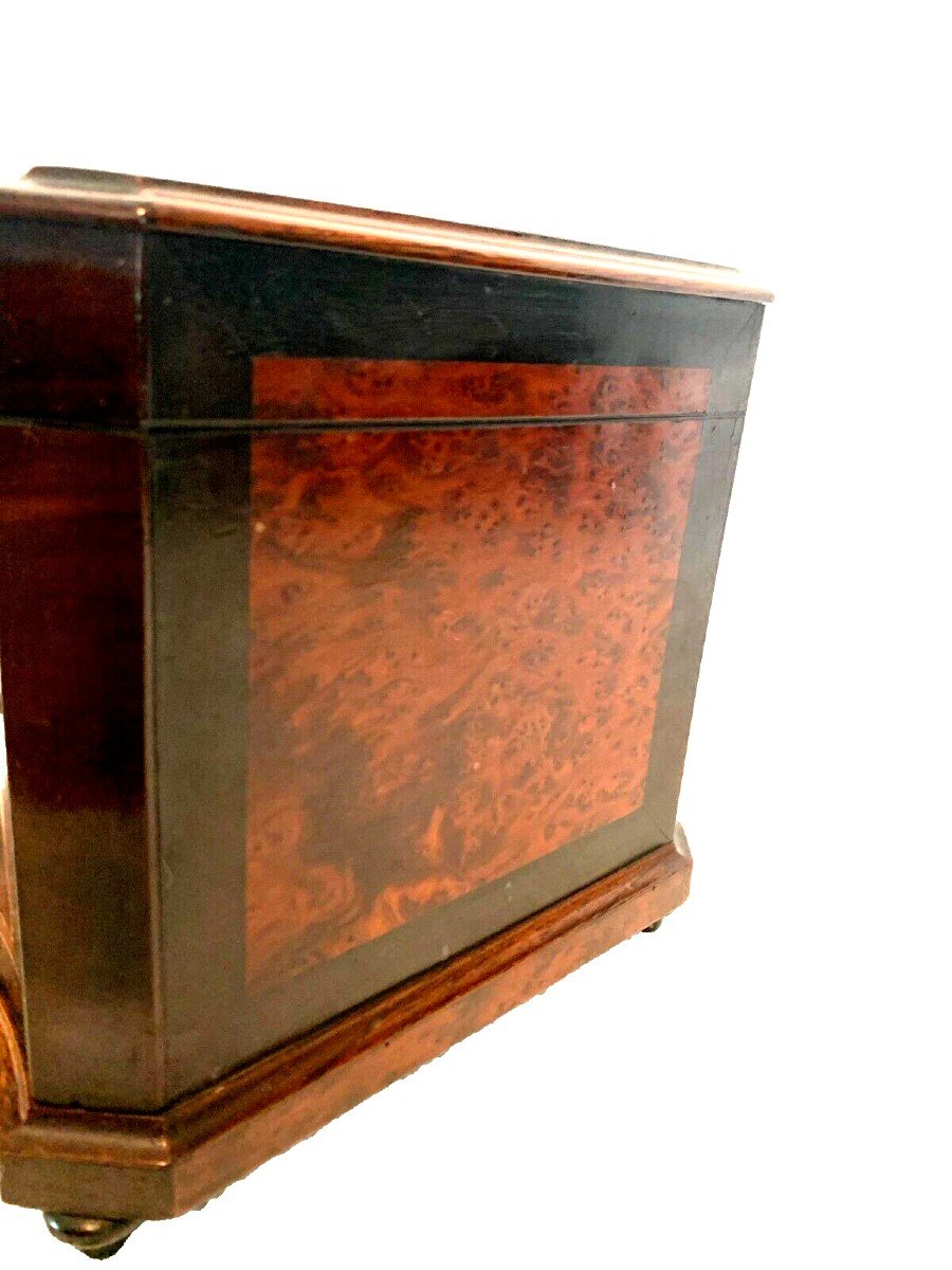 Cigar Box In Thuja Burl And Black Wood 19th Century-photo-6