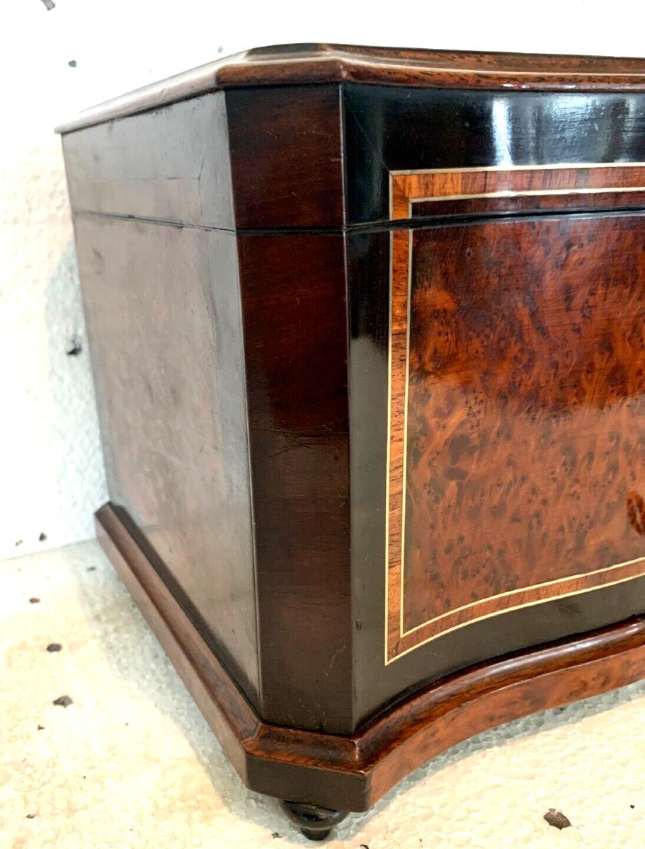 Cigar Box In Thuja Burl And Black Wood 19th Century-photo-8