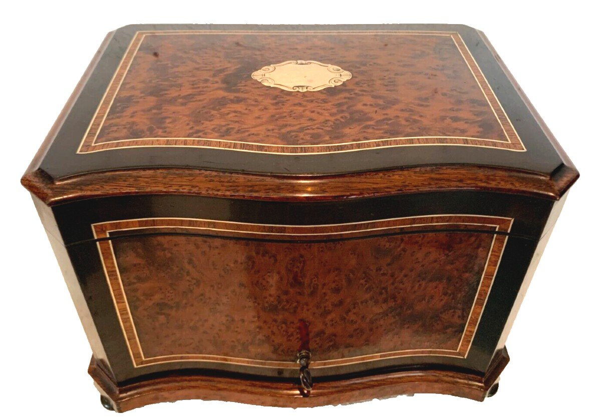Cigar Box In Thuja Burl And Black Wood 19th Century