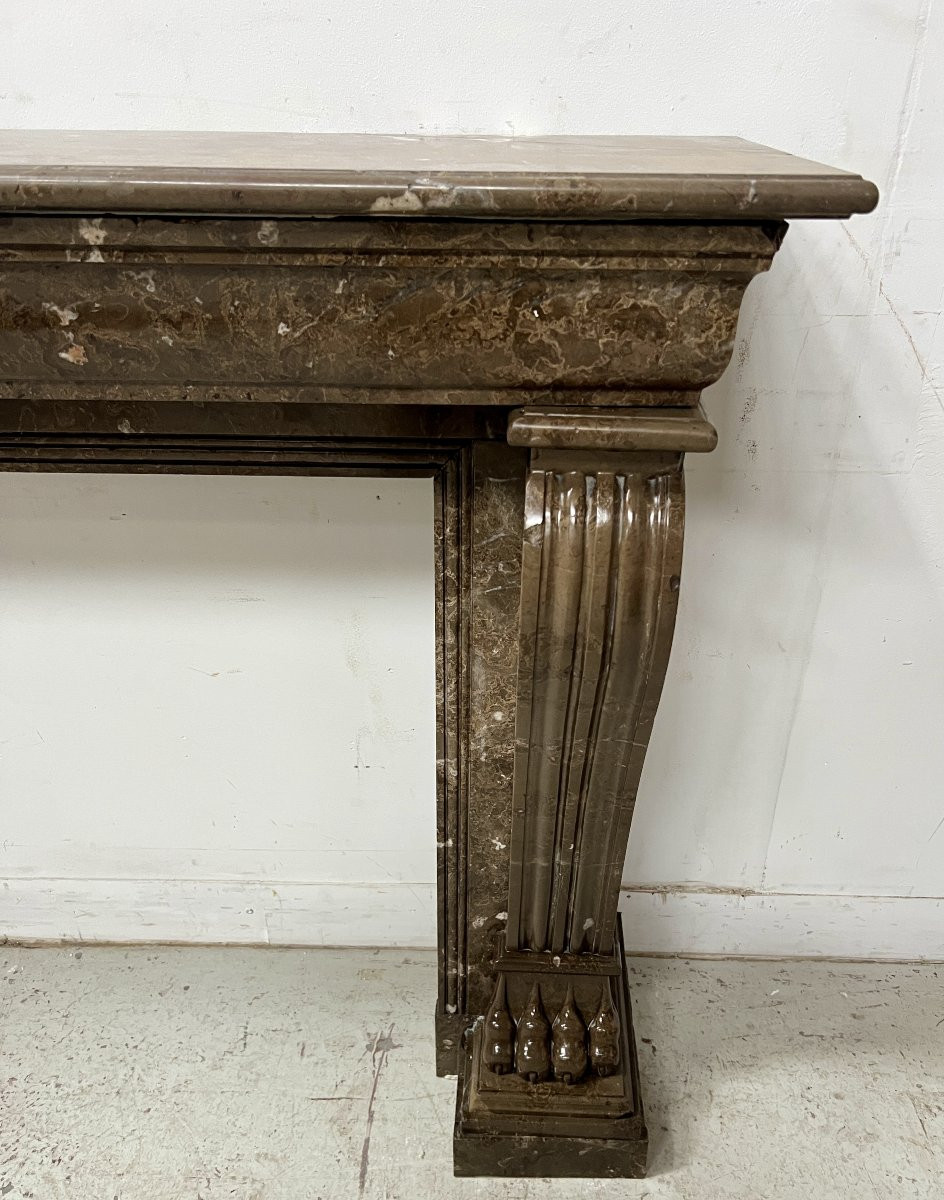 Napoleon III Fireplace With Claw Feet In Speckled Marble, 19th Century-photo-4