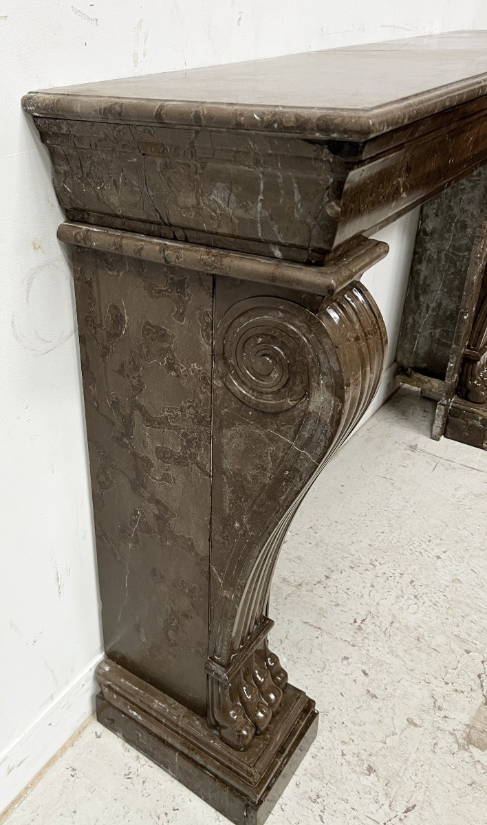Napoleon III Fireplace With Claw Feet In Speckled Marble, 19th Century-photo-5