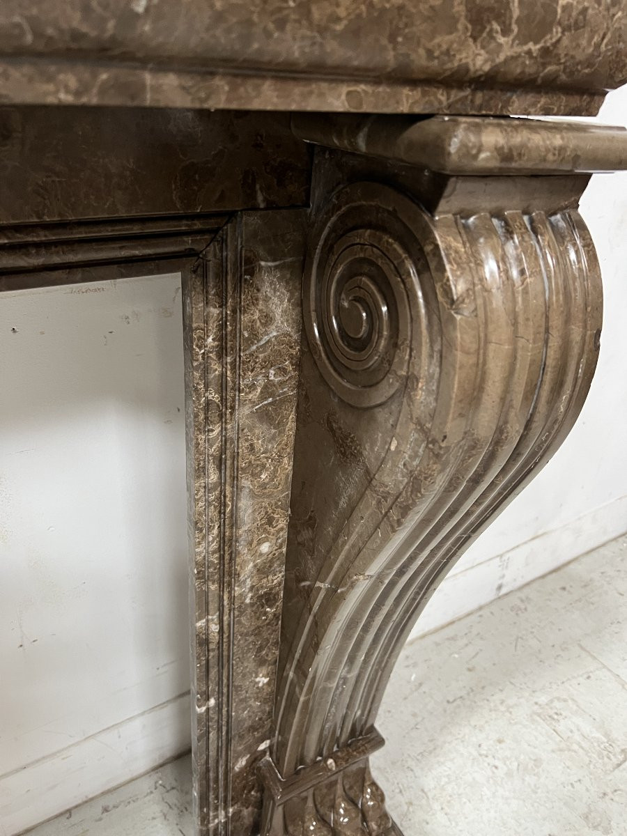 Napoleon III Fireplace With Claw Feet In Speckled Marble, 19th Century-photo-7