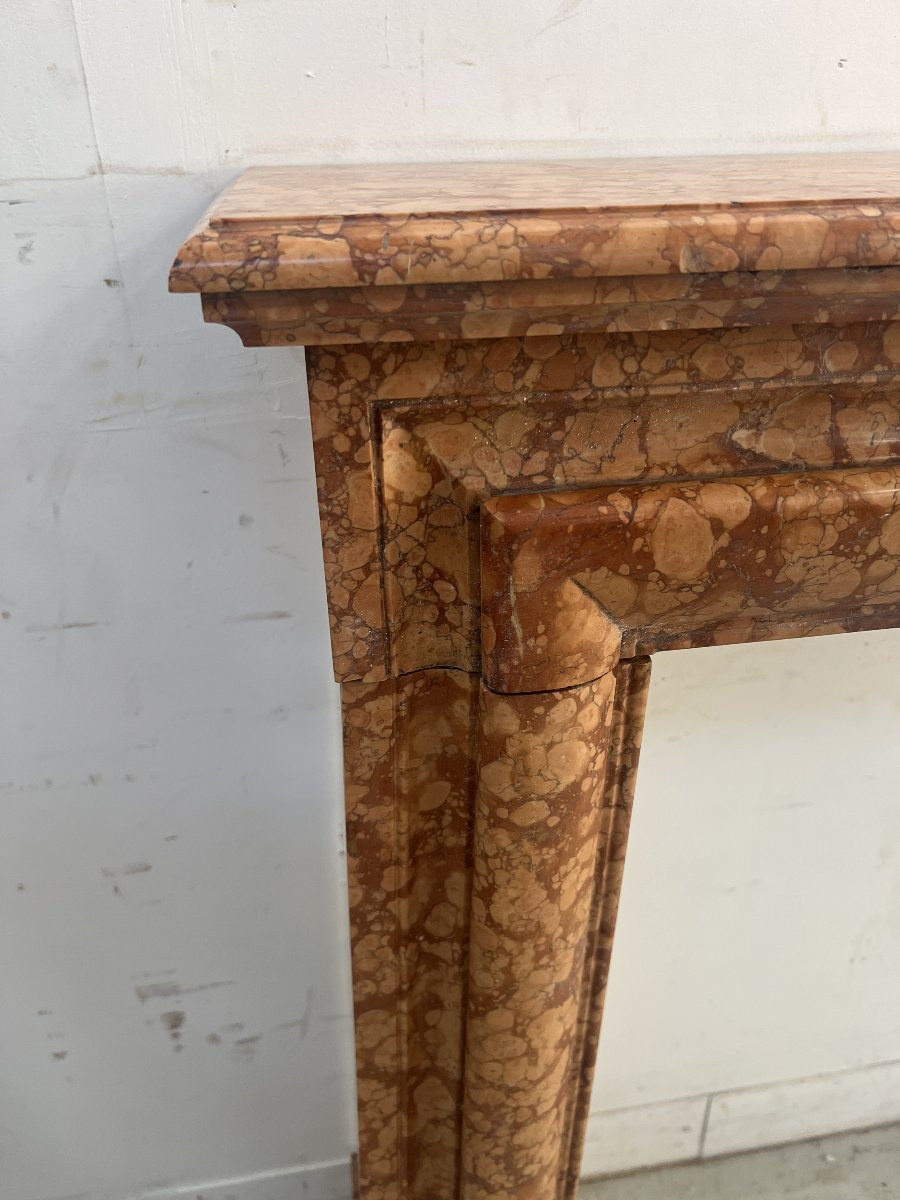 Louis XIV Style Mantel In Speckled Breche Marble XIX Century-photo-1