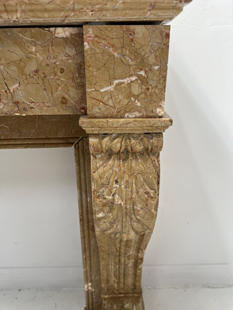 Cheminée Napoléon III a pieds griffes en marbre moucheté XIX siècle-photo-2