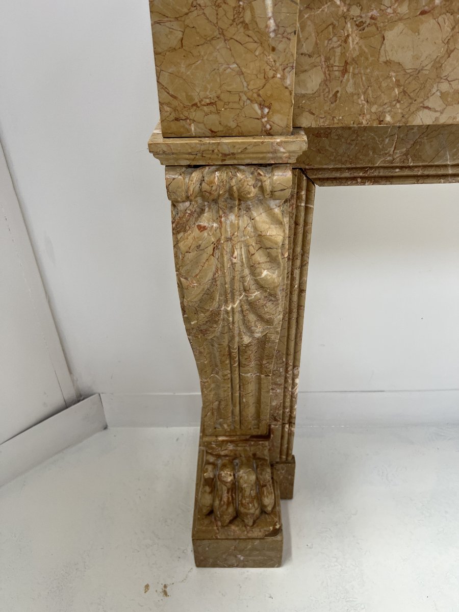 Cheminée Napoléon III a pieds griffes en marbre moucheté XIX siècle-photo-4