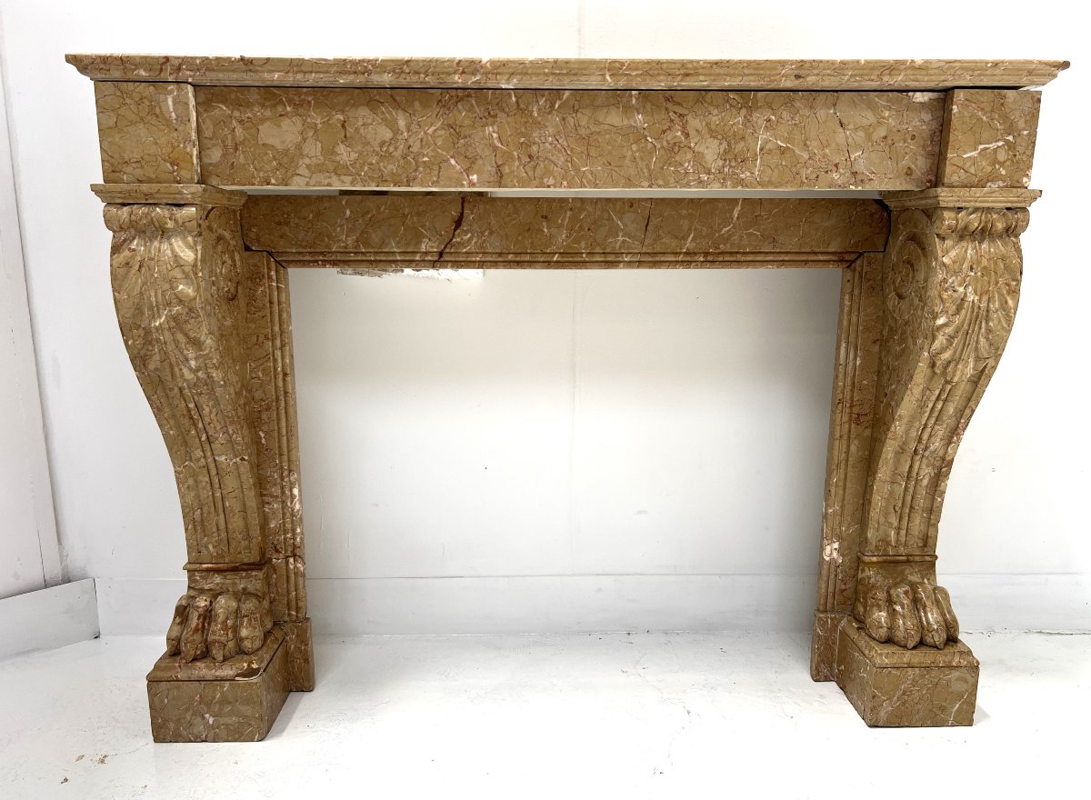 Cheminée Napoléon III a pieds griffes en marbre moucheté XIX siècle