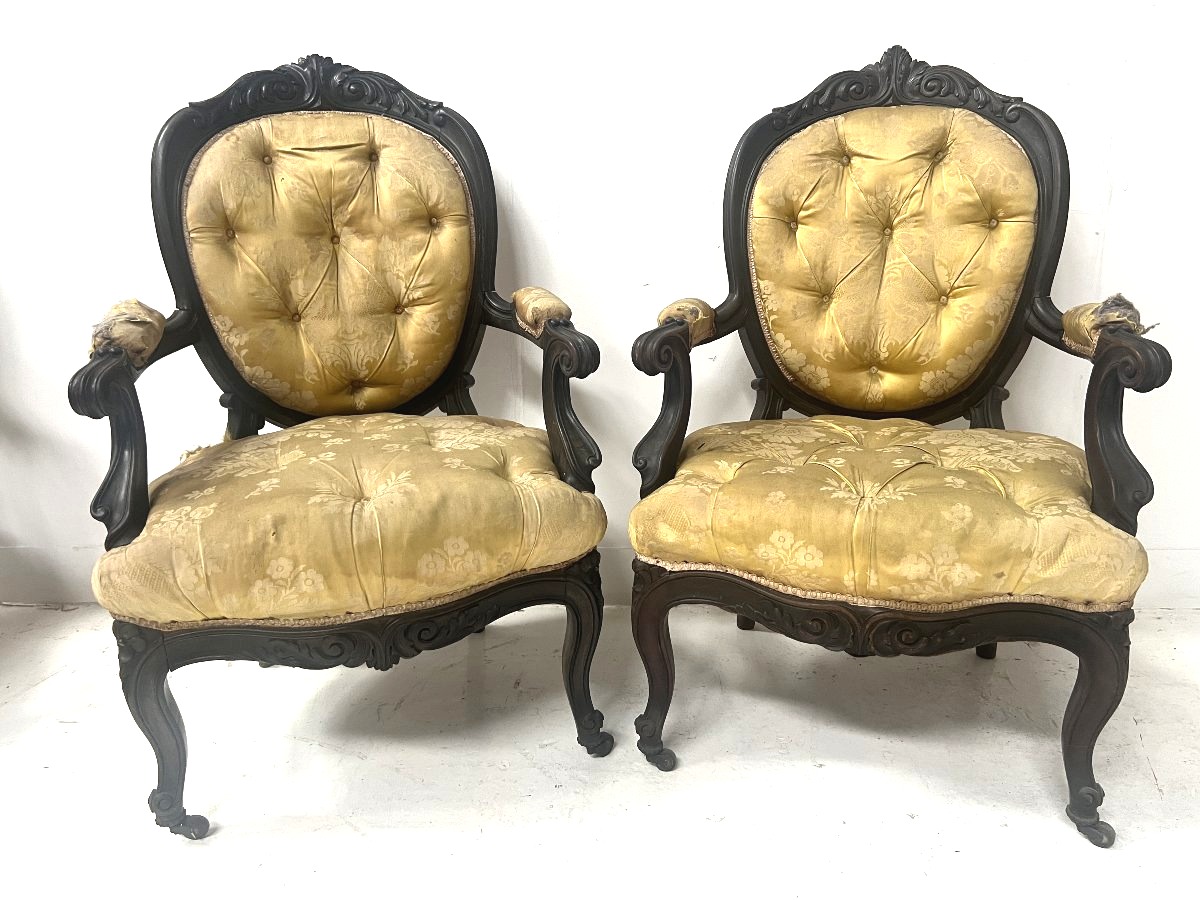 Paire de fauteuils Napoléon III de style Louis XV en palissandre XX siècle