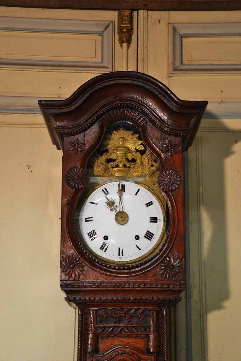 Horloge de parquet dite " Demoiselle". Région Haute Normandie époque XIXe Siècle.-photo-2