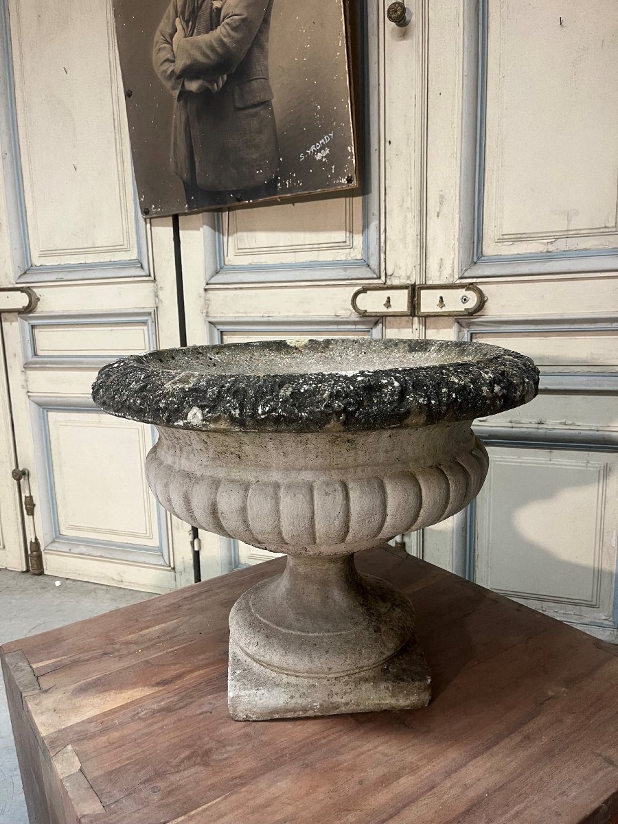 Paire de vasques de jardin en reconstitué époque XXe siècle-photo-2