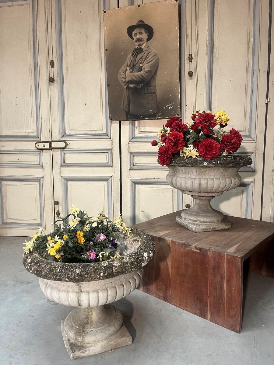 Paire de vasques de jardin en reconstitué époque XXe siècle