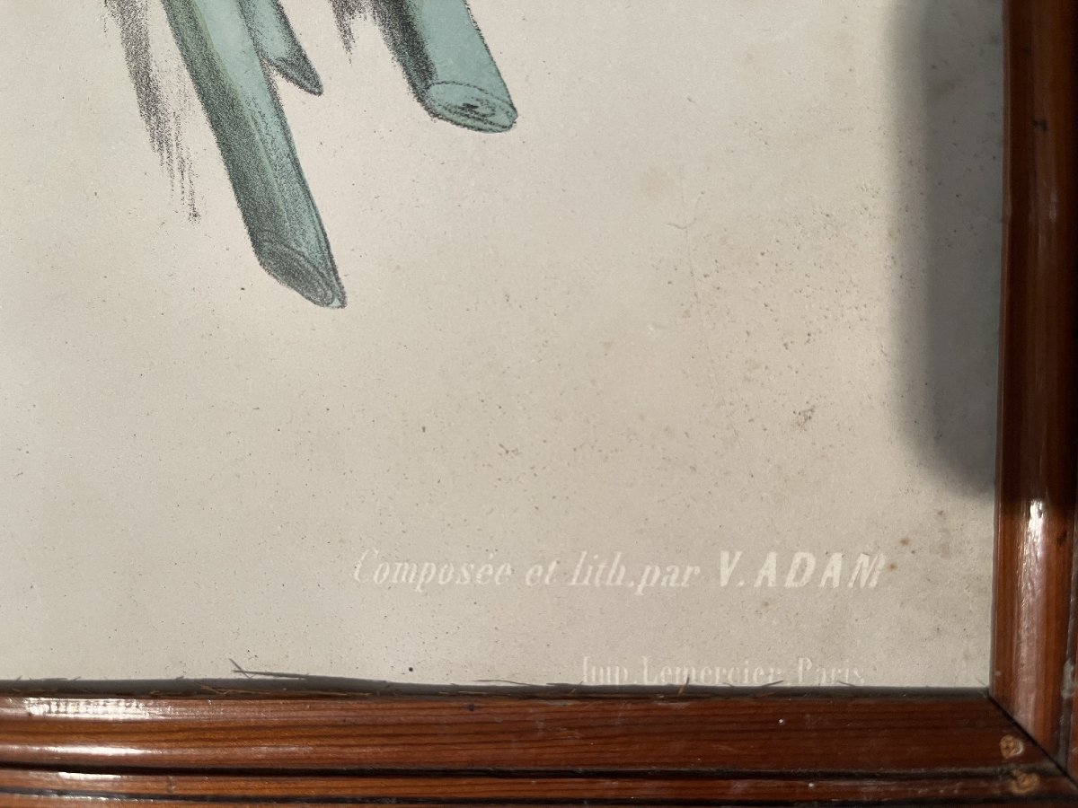 Suite de cinq lithographies à décor de trophés de chasse, fin XIXe siècle-photo-4
