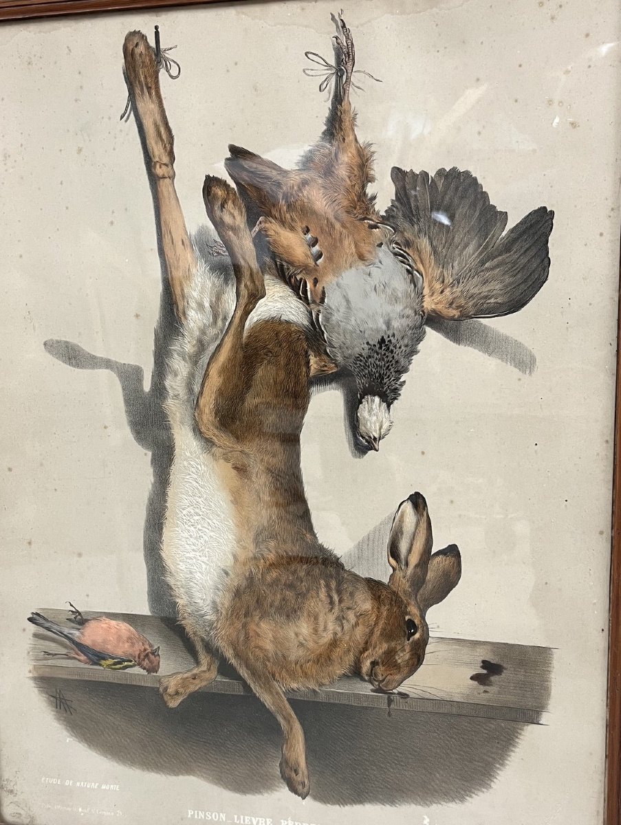 Suite de cinq lithographies à décor de trophés de chasse, fin XIXe siècle-photo-4