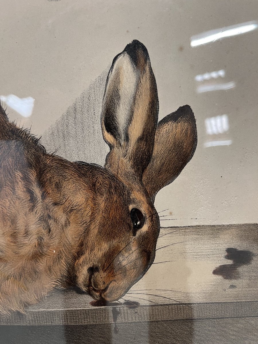 Suite de cinq lithographies à décor de trophés de chasse, fin XIXe siècle-photo-5