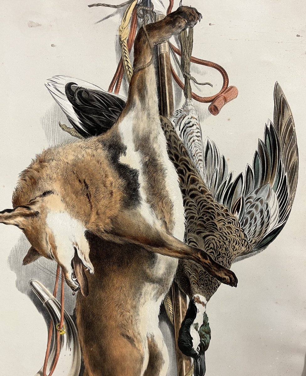 Suite de cinq lithographies à décor de trophés de chasse, fin XIXe siècle-photo-6