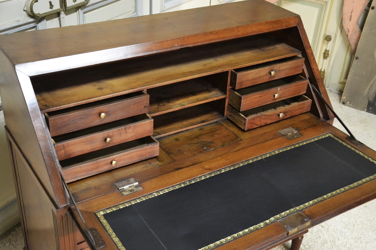 Directoire Period Walnut Slope Desk-photo-4