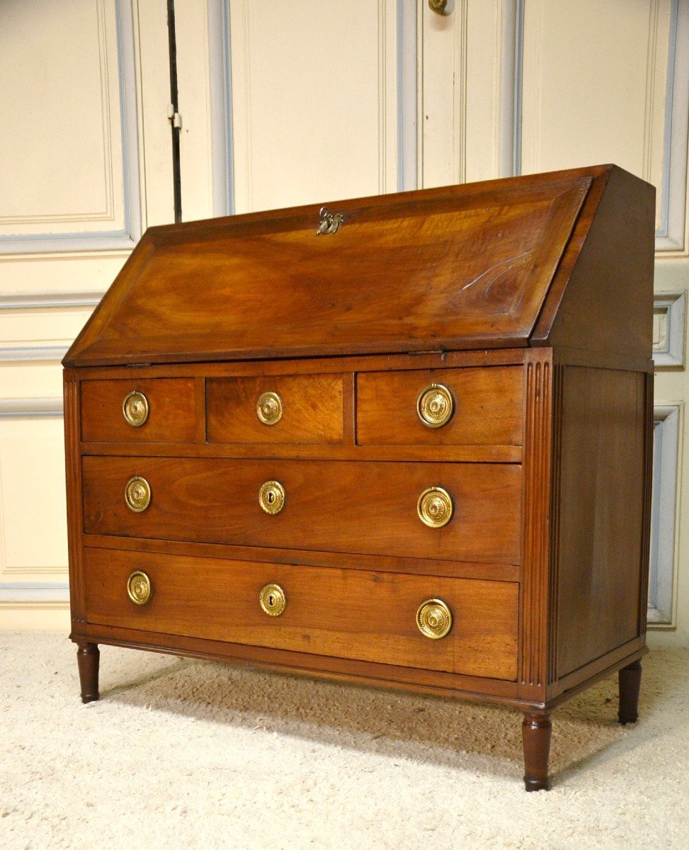 Directoire Period Walnut Slope Desk-photo-6