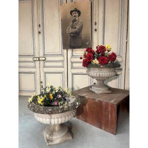 Paire de vasques de jardin en reconstitué époque XXe siècle