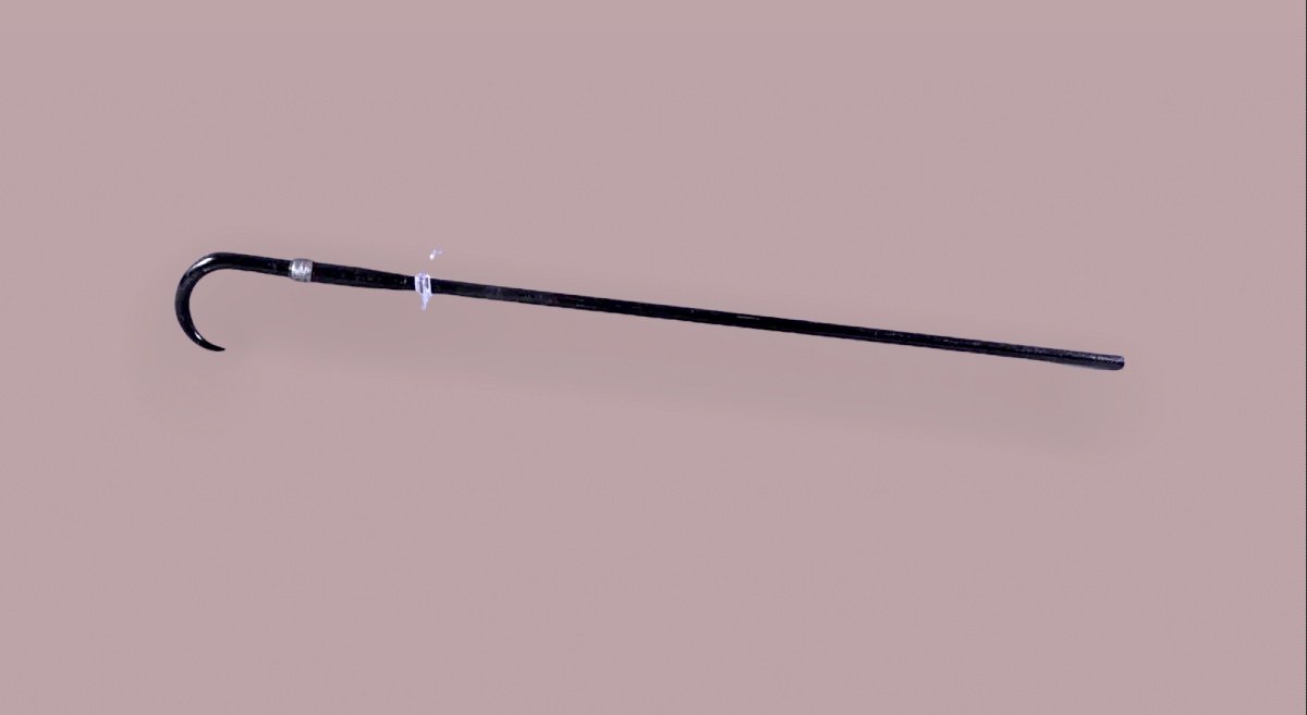 Cane Rifle