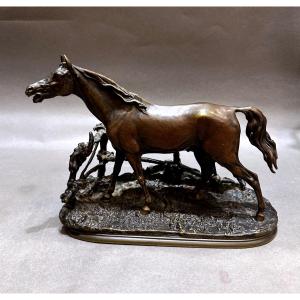 Cheval en bronze, Pierre Jules MENE 