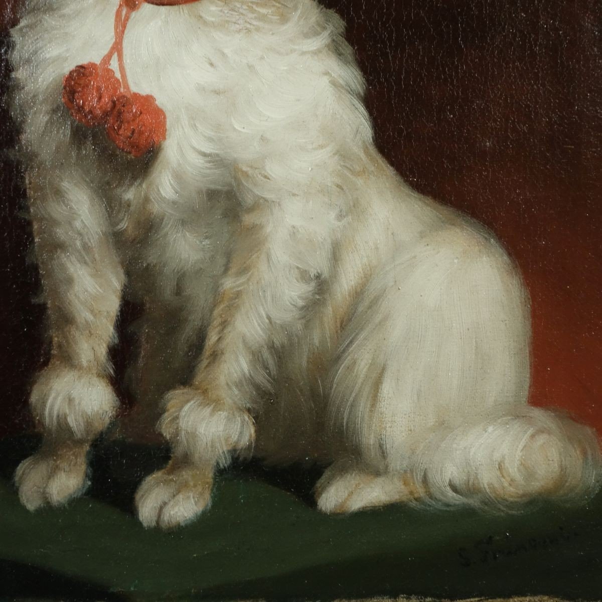 Maltese Bichon Dog Portrait Signed S.franconi? Around 1900-photo-2