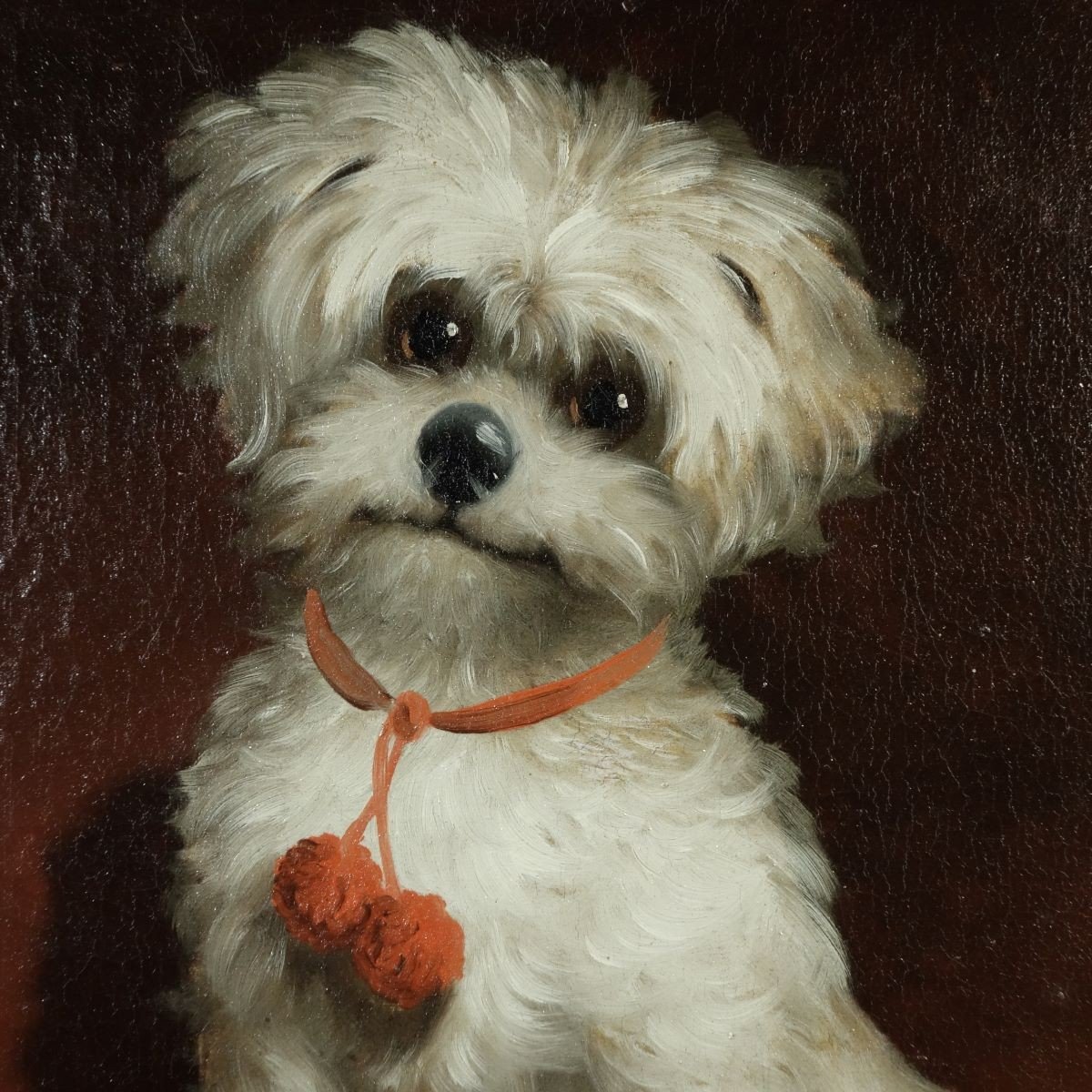 Maltese Bichon Dog Portrait Signed S.franconi? Around 1900-photo-3