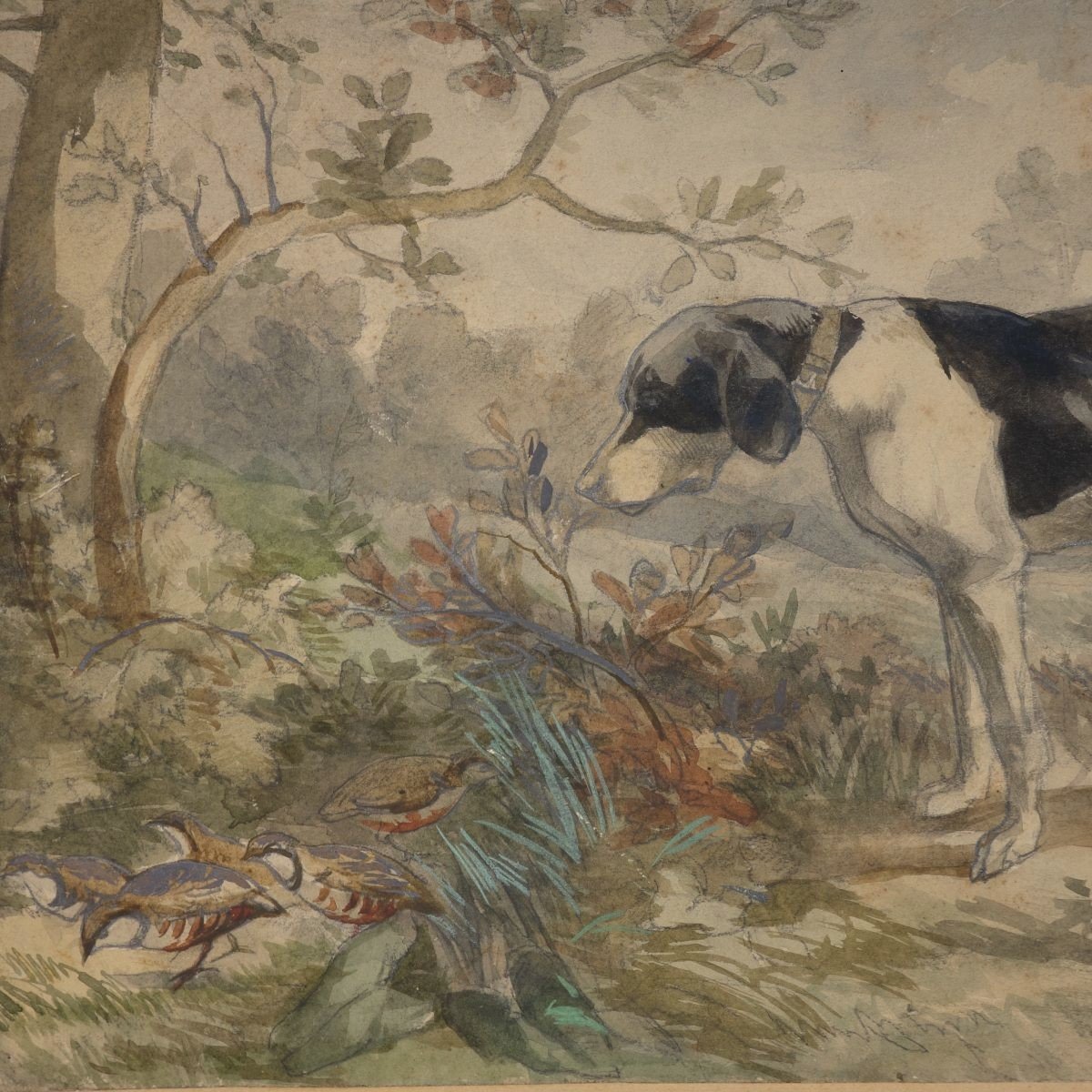 Partridge Hunting Watercolor 19th Sheet: 19.8 X 35 Cm-photo-3