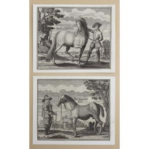 Engelhardt Et Andréas Nunzer  2 Gravures Sur Cuivre XVIIIe Chevaux