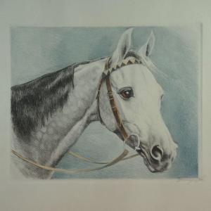 Jean Rivet Dit Efremoff Portrait Horse Drypoint Art-deco