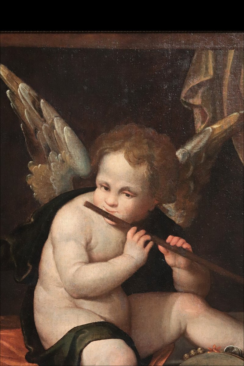 Francesco Vecellio (1475-1560 Ca) - Ange Musicien-photo-2