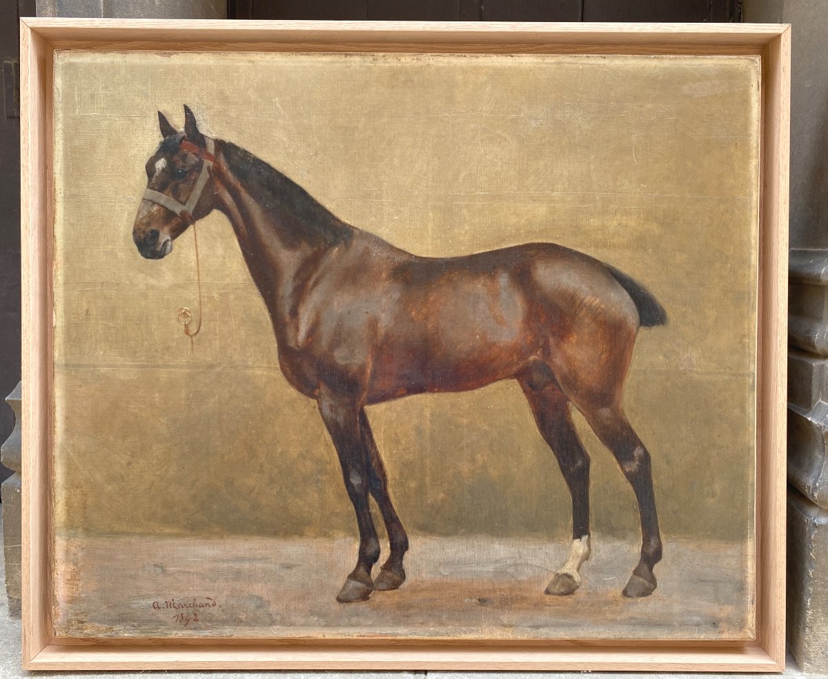 Stallion Horse 1892 Oil On Canvas André Marchand Painter 1877 - 1951 Solid Oak Frame