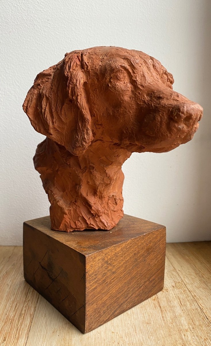 Head Of “setter” Dog Sculptor Richard Fath 1900 -1952 Signed On The Back Terracotta-photo-2