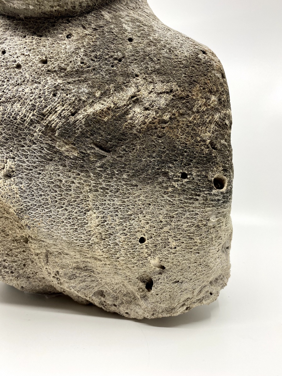 Pumice Stone Sculpture - Bust Of A Man, Outsider Art-photo-2