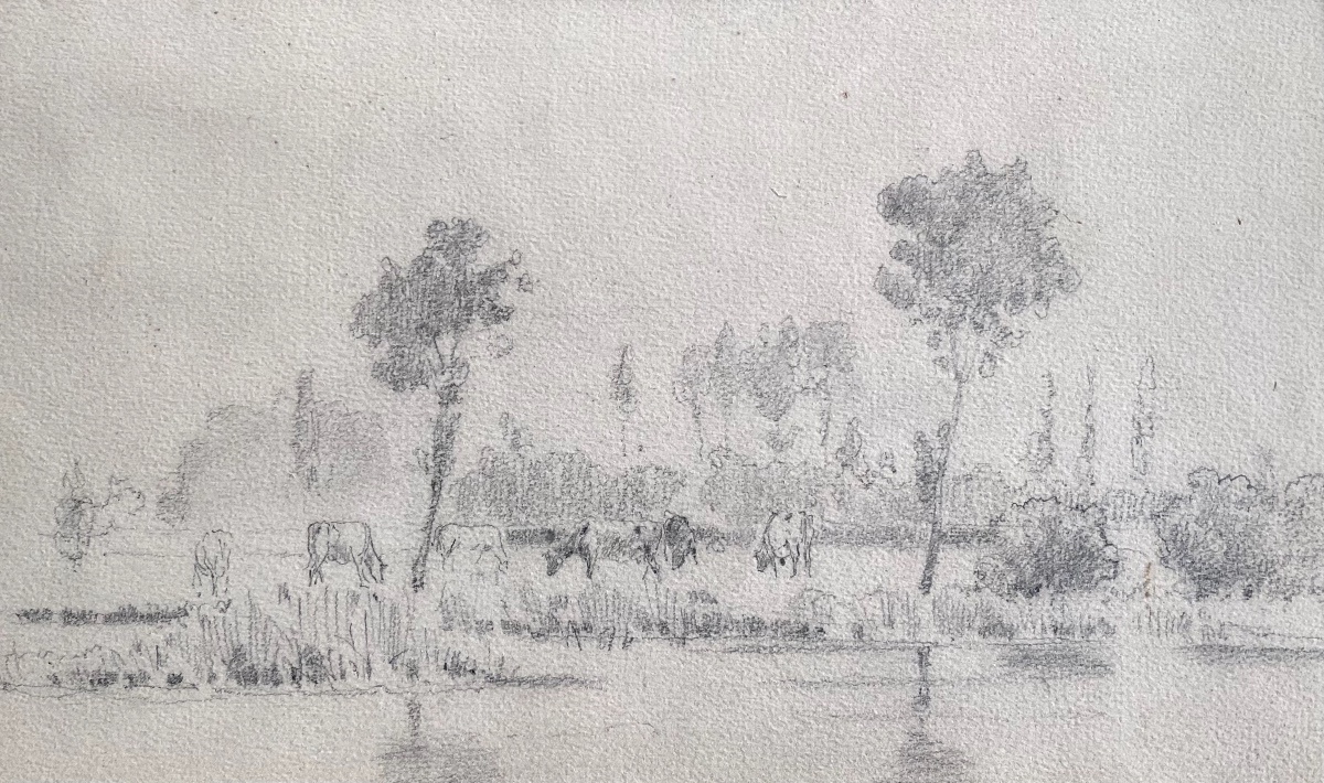 Dessin de vaches dans un champ à la campagne - Constant Troyon (1810-1865)