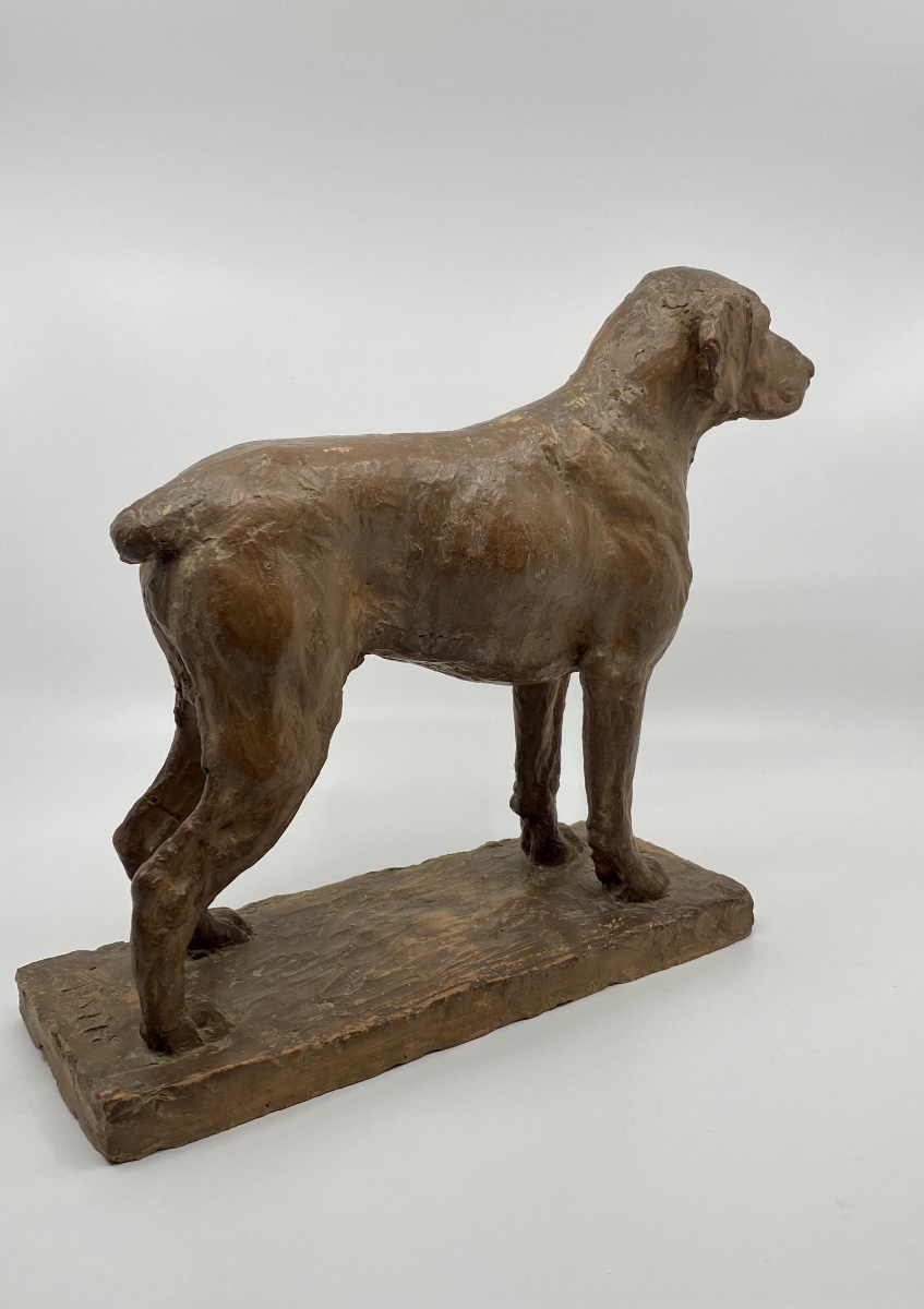 Terracotta Dog Sculpture By Richard Fath - Bourbonnais Braque-photo-4