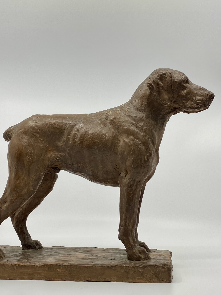 Terracotta Dog Sculpture By Richard Fath - Bourbonnais Braque-photo-7