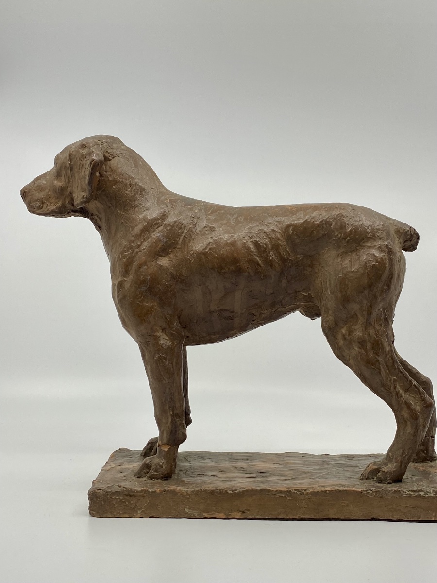 Terracotta Dog Sculpture By Richard Fath - Bourbonnais Braque-photo-8