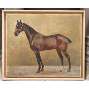 Stallion Horse 1892 Oil On Canvas André Marchand Painter 1877 - 1951 Solid Oak Frame