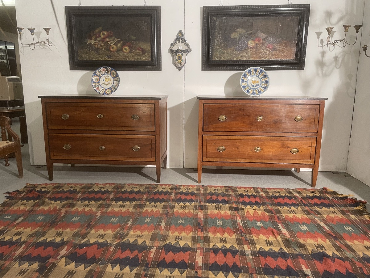 Antique Pair Of Louis XVI Dressers , Southern Italy, 18th–19th Century -photo-2